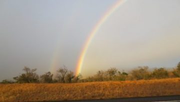 rainbows_end